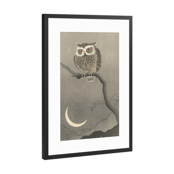 Poster mit Rahmen Schwarz (Metallic) "Waldohreule auf dem Ast" artboxONE - Natur,Tiere