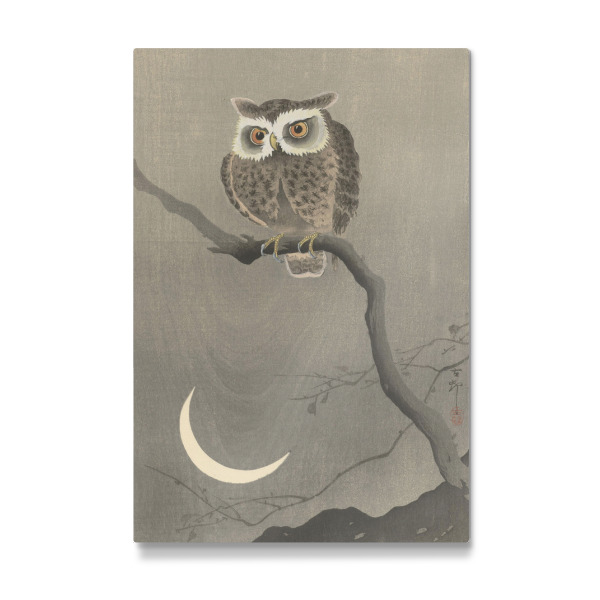 Galerie-Print "Waldohreule auf dem Ast" 30x20 cm artboxONE