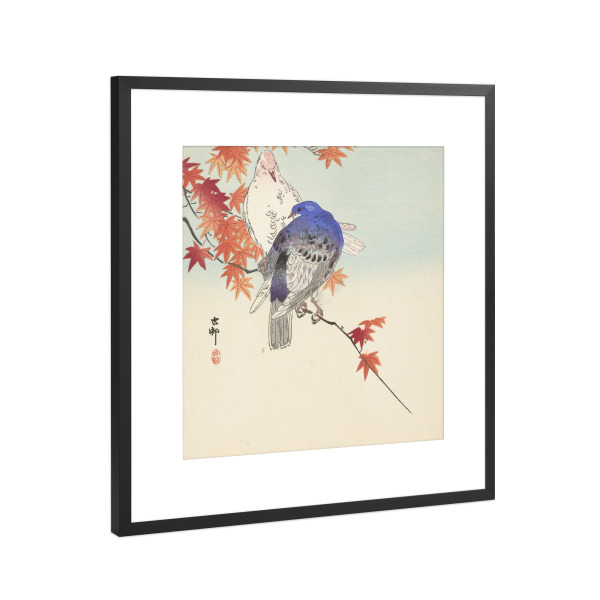 Poster mit Rahmen Schwarz (Metallic) "Zwei Tauben auf herbstlichem Ast" artboxONE - Natur,Tiere