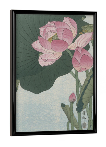 Poster mit schwarzem Rahmen "Blühende Lotusblumen" artboxONE - Natur,Floral