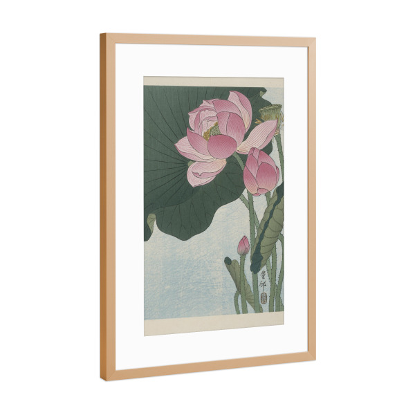 Poster mit Rahmen Kupfer "Blühende Lotusblumen" artboxONE - Natur,Floral