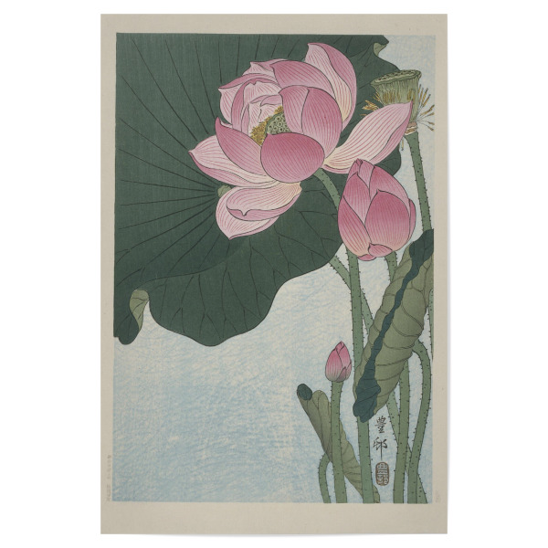 Poster 30x20 cm "Blühende Lotusblumen" artboxONE - Natur,Floral - Ohara,Koson,Natur,Pflanzen,Floral,Leaves,Blätter,Blumen,Japan,Malerei,Kunst,Gemälde