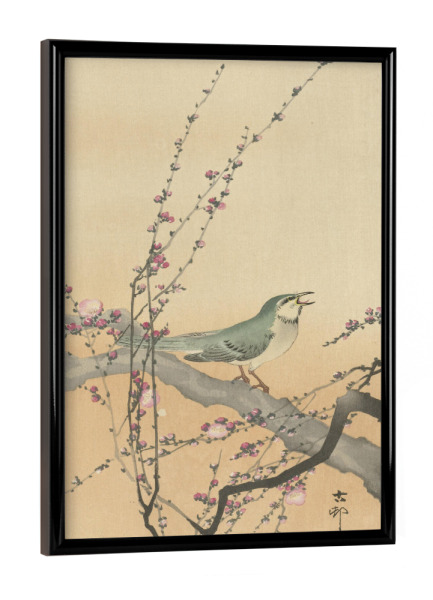 Poster mit schwarzem Rahmen "Singvogel und Pflaumenblüte" artboxONE - Natur,Floral,Tiere - Ohara,Koson,Natur,Blumen,Tier,Vogel,Ast,Baum,Japan,Floral