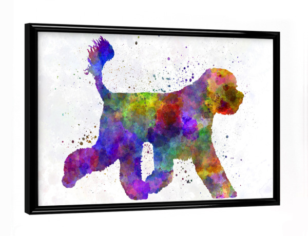 Poster mit schwarzem Rahmen "Portuguese Water Dog" artboxONE - Tiere,Abstrakt - Dog,Pet,Mammal,Watercolor,Abstract,Hund,Animal,Tier,Colorful