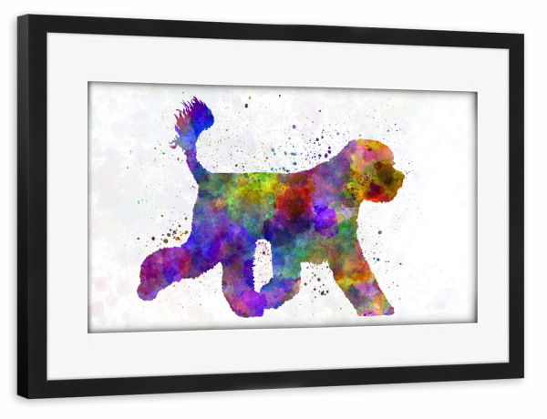 Poster mit Rahmen schwarz "Portuguese Water Dog" artboxONE - Tiere,Abstrakt - Dog,Pet,Mammal,Watercolor,Abstract,Hund,Animal,Tier,Colorful