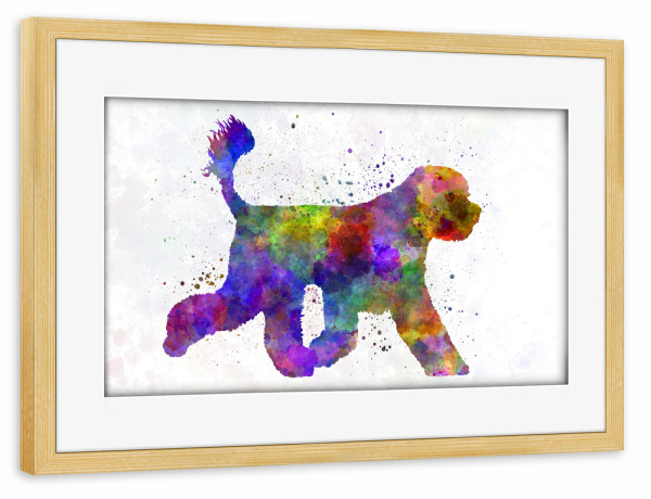 Poster mit Rahmen kiefer "Portuguese Water Dog" artboxONE - Tiere,Abstrakt - Dog,Pet,Mammal,Watercolor,Abstract,Hund,Animal,Tier,Colorful