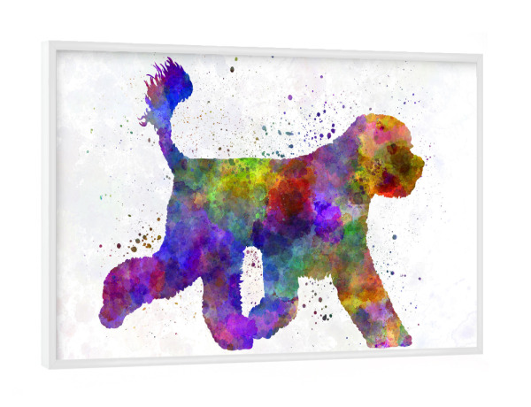 Poster mit weißem Rahmen "Portuguese Water Dog" artboxONE - Tiere,Abstrakt - Dog,Pet,Mammal,Watercolor,Abstract,Hund,Animal,Tier,Colorful