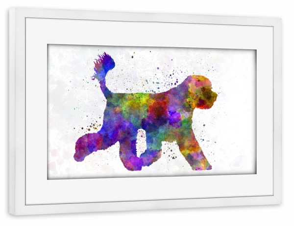 Poster mit Rahmen weiß "Portuguese Water Dog" artboxONE - Tiere,Abstrakt - Dog,Pet,Mammal,Watercolor,Abstract,Hund,Animal,Tier,Colorful