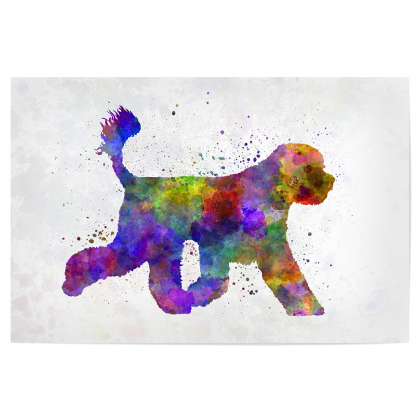 Poster 30x20 cm "Portuguese Water Dog" artboxONE - Tiere,Abstrakt - Dog,Pet,Mammal,Watercolor,Abstract,Hund,Animal,Tier,Colorful