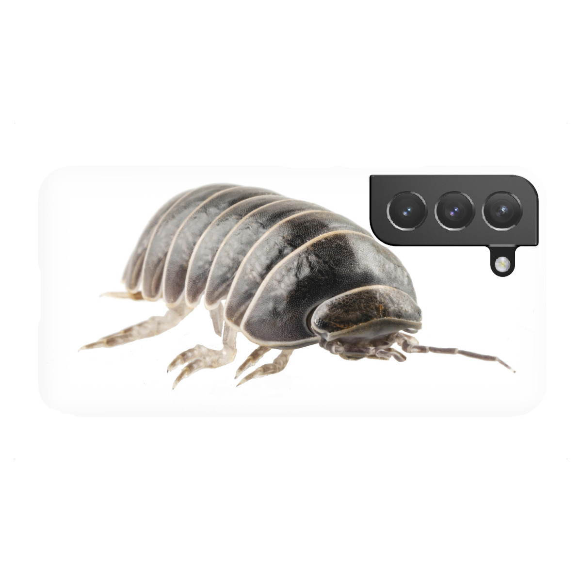 Samsung Galaxy "Pill-bug armadillidium vulgare" Premium-Case Handyhülle artboxONE