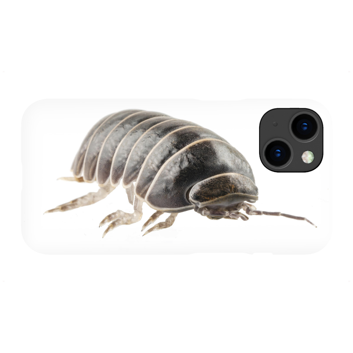 "Pill-bug armadillidium vulgare"für iPhone - Premium-Case Handyhülle artboxONE