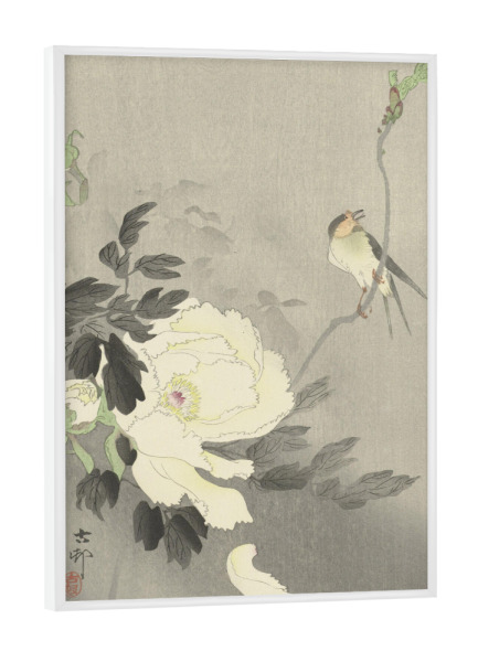Poster mit weißem Rahmen "Vogel und Pfingstrose" artboxONE - Natur,Floral,Tiere