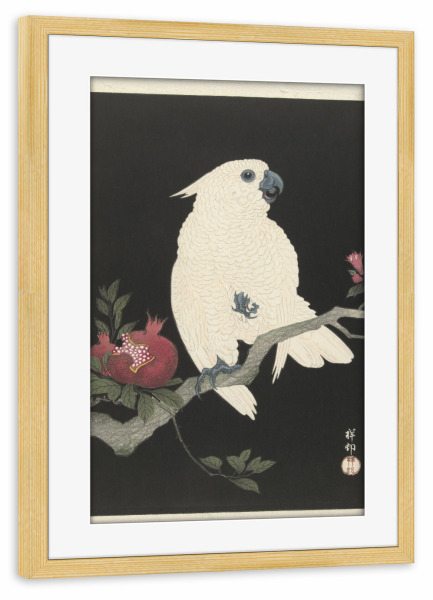 Poster mit Rahmen kiefer "Kakadu und Granatapfel" artboxONE - Natur,Tiere - Ohara,Koson,Malerei,Gemälde,Kunst,Tier,Vogel,Japan,Ast,Natur,Kakadu