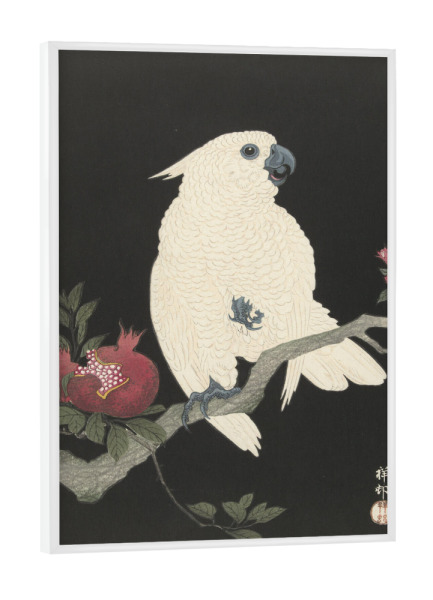 Poster mit weißem Rahmen "Kakadu und Granatapfel" artboxONE - Natur,Tiere - Ohara,Koson,Malerei,Gemälde,Kunst,Tier,Vogel,Japan,Ast,Natur,Kakadu