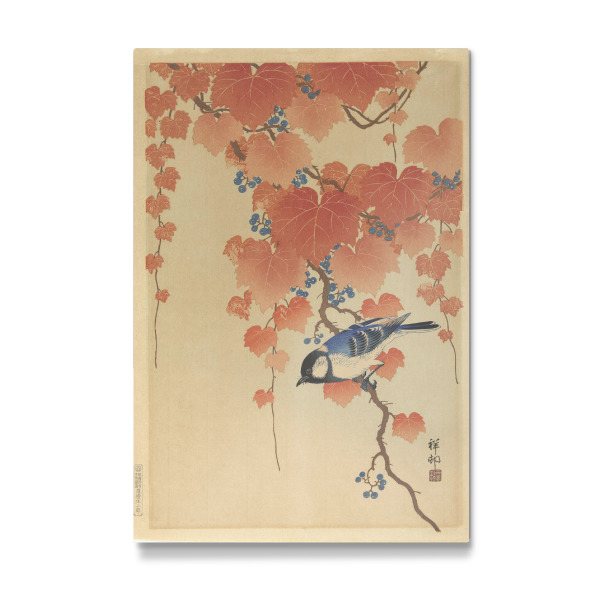 Galerie-Print "Kohlmeise auf Paulownia-Zweig" 30x20 cm artboxONE