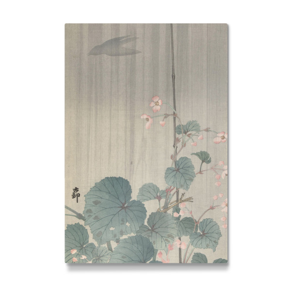 Galerie-Print "Begonie im Regen" 30x20 cm artboxONE