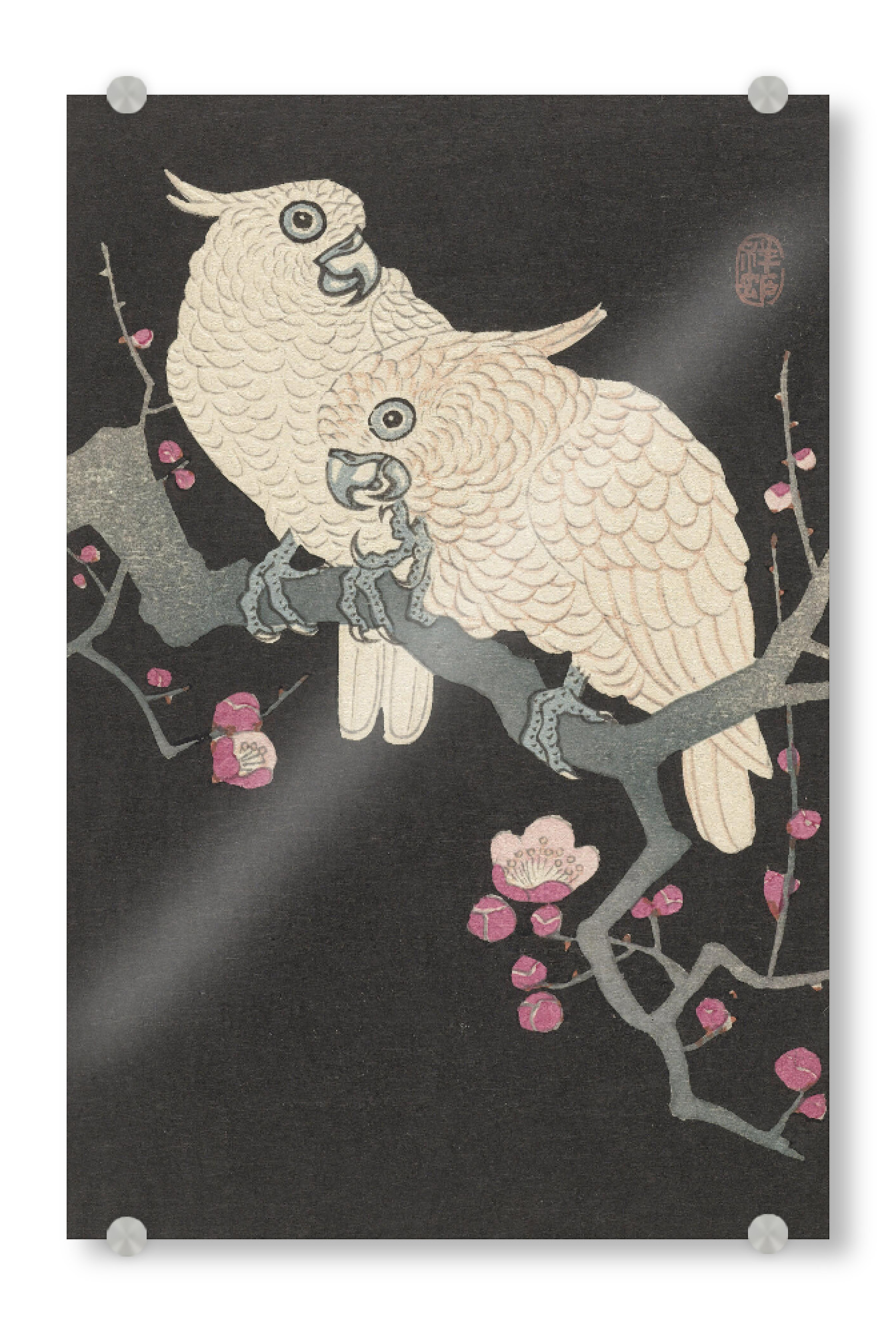 Acrylglasbild "Zwei Kakadus auf Ast" artboxONE - Natur,Tiere - Ohara,Koson,Malerei,Gemälde,Kunst,Tier,Vogel,Natur,Baum,Japan,Kakadu