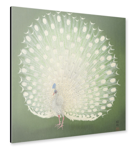 Alu-Dibond "Pfau - Ohara Koson" 30x30 cm artboxONE