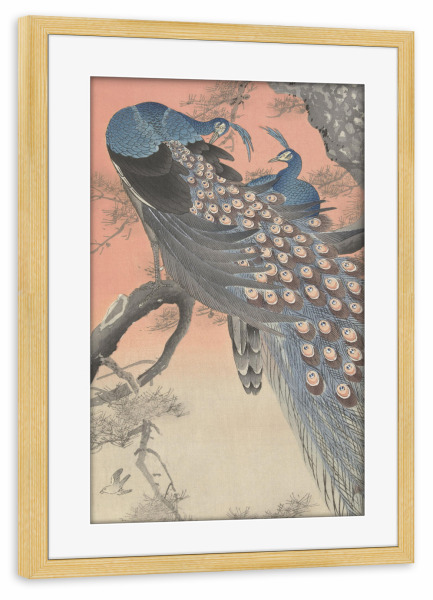 Poster mit Rahmen kiefer "Zwei Pfauen auf einem Ast" artboxONE - Natur,Tiere - Ohara,Koson,Malerei,Gemälde,Kunst,Japan,Pfau,Ast,Natur,Tier