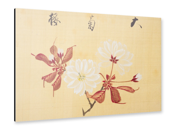 Alu-Dibond "Kirschblüten - Konen Sakamoto" 30x20 cm artboxONE