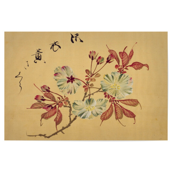 Poster "Sakura Blüten - Konen Sakamoto" artboxONE - Natur,Floral - Konen sakamoto,Malerei,Gemälde,Kunst,Japan,Blumen,Floral,Natur