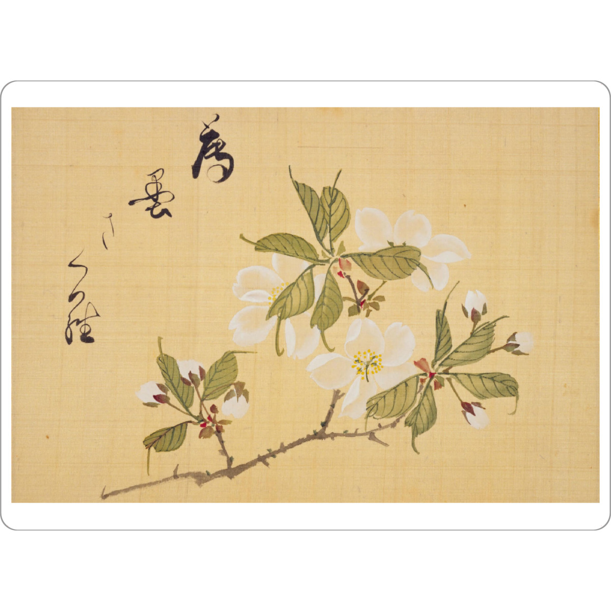 Tischset "Sakura Blumen - Sakamoto" artboxONE - Natur,Floral - Konen sakamoto,Malerei,Gemälde,Kunst,Japan,Floral,Flowers,Blumen,Natur