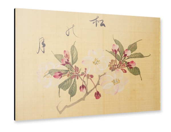 Alu-Dibond "Kirschblüten von Sakamoto" 30x20 cm artboxONE