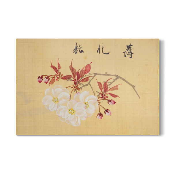 Galerie-Print "Kirschblüten Konen Sakamoto" 30x20 cm artboxONE