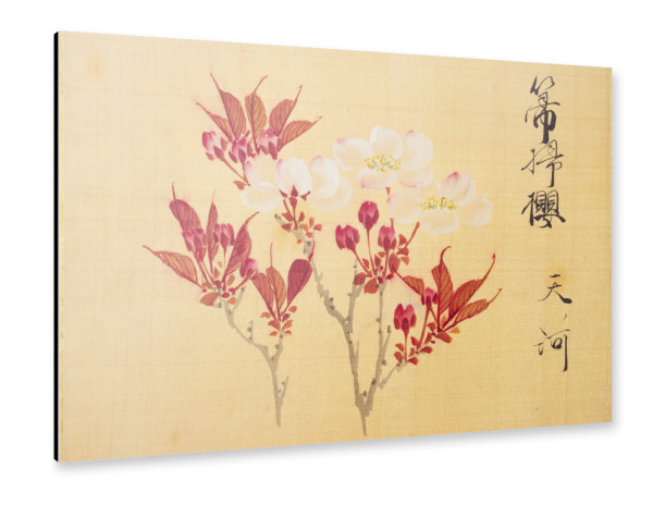 Alu-Dibond "Sakamoto - Sakura flowers" 30x20 cm artboxONE