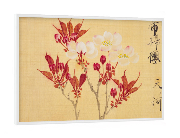 Poster mit weißem Rahmen "Sakamoto - Sakura flowers" artboxONE - Natur,Floral