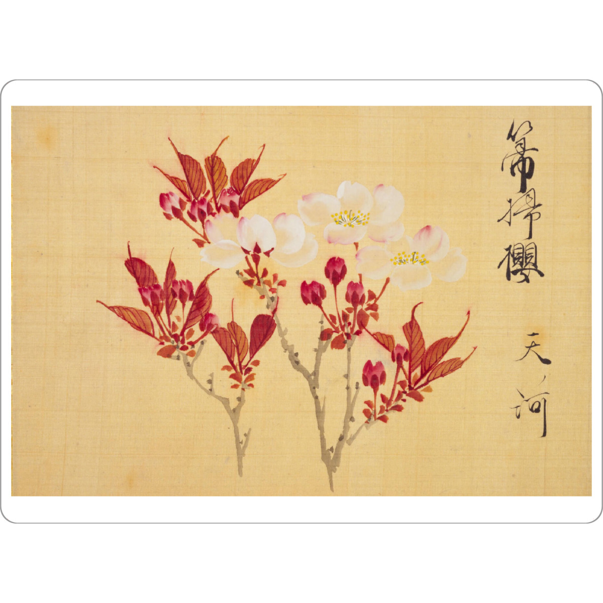 Tischset "Sakamoto - Sakura flowers" artboxONE - Natur,Floral - Konen,Sakamoto,Japan,Malerei,Gemälde,Kunst,Floral,Natur,Pflanzen,Blumen - Bild konen