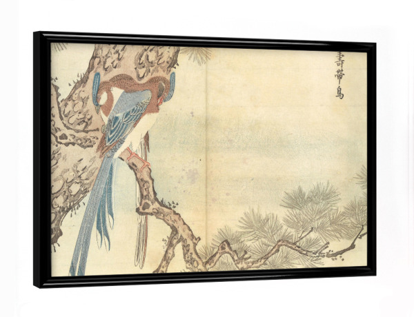 Poster mit schwarzem Rahmen "Vogel auf dem Ast" artboxONE - Natur,Tiere - Masayoshi kitao,Natur,Tier,Vogel,Japan,Malerei,Gemälde,Kunst,Ast,Baum