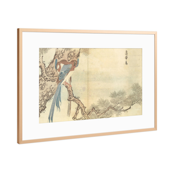 Poster mit Rahmen Kupfer "Vogel auf dem Ast" artboxONE - Natur,Tiere - Masayoshi kitao,Natur,Tier,Vogel,Japan,Malerei,Gemälde,Kunst,Ast,Baum
