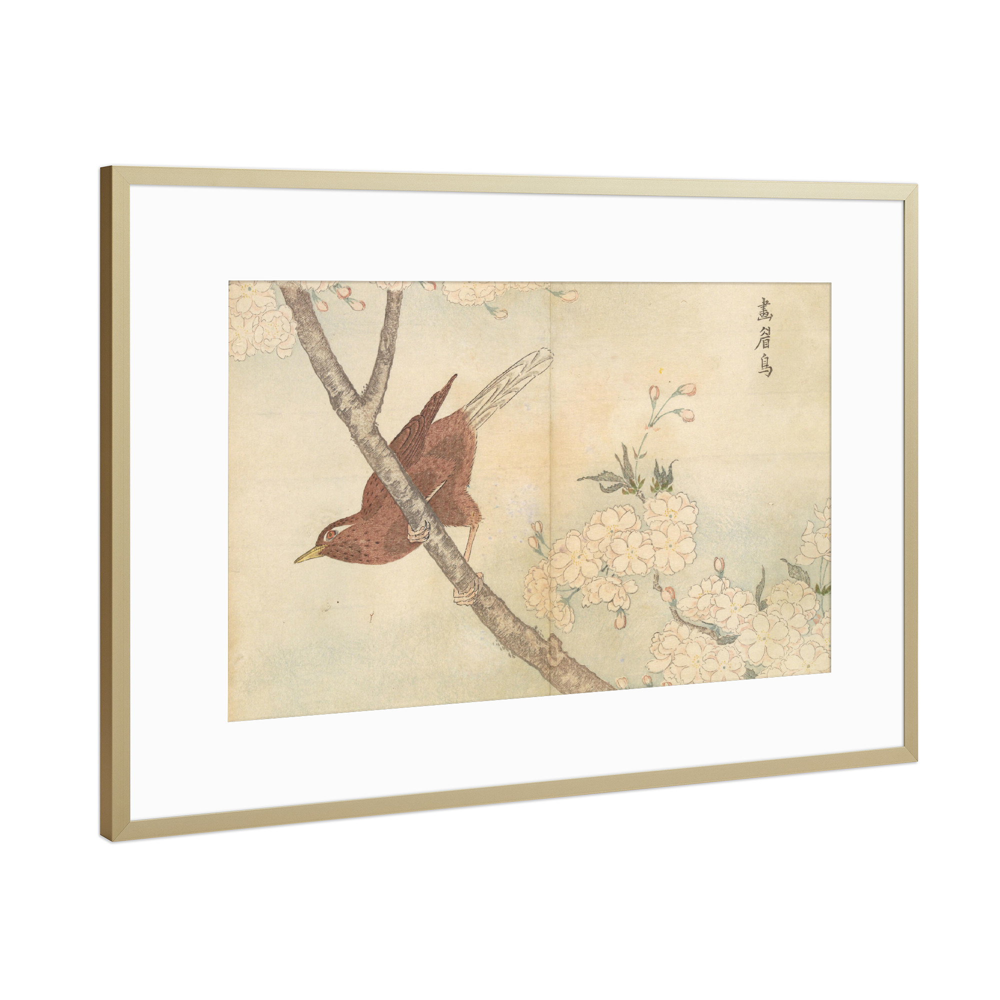 Poster mit Rahmen Gold "Vogel sitzt auf dem Ast" artboxONE - Natur,Tiere - Masayoshi kitao,Natur,Vogel,Kunst,Malerei,Gemälde,Ast,Baum,Japan