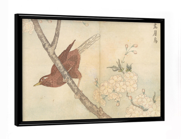 Poster mit schwarzem Rahmen "Vogel sitzt auf dem Ast" artboxONE - Natur,Tiere - Masayoshi kitao,Natur,Vogel,Kunst,Malerei,Gemälde,Ast,Baum,Japan