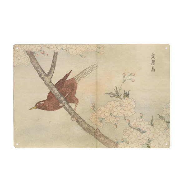 Metall Poster "Vogel sitzt auf dem Ast" artboxONE - Natur,Tiere - Masayoshi kitao,Natur,Vogel,Kunst,Malerei,Gemälde,Ast,Baum,Japan - Blechschild