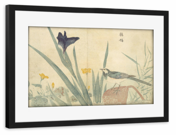 Poster mit Rahmen schwarz "Vogel sitzt auf einer Blume" artboxONE - Natur,Floral,Tiere