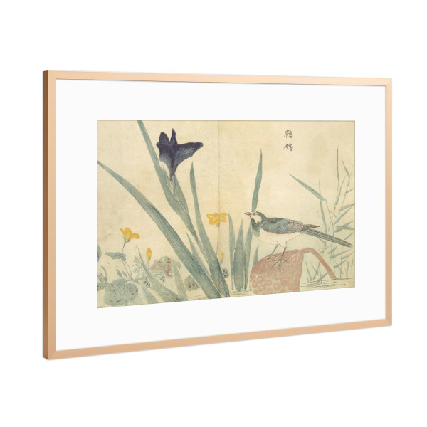 Poster mit Rahmen Kupfer "Vogel sitzt auf einer Blume" artboxONE - Natur,Floral,Tiere