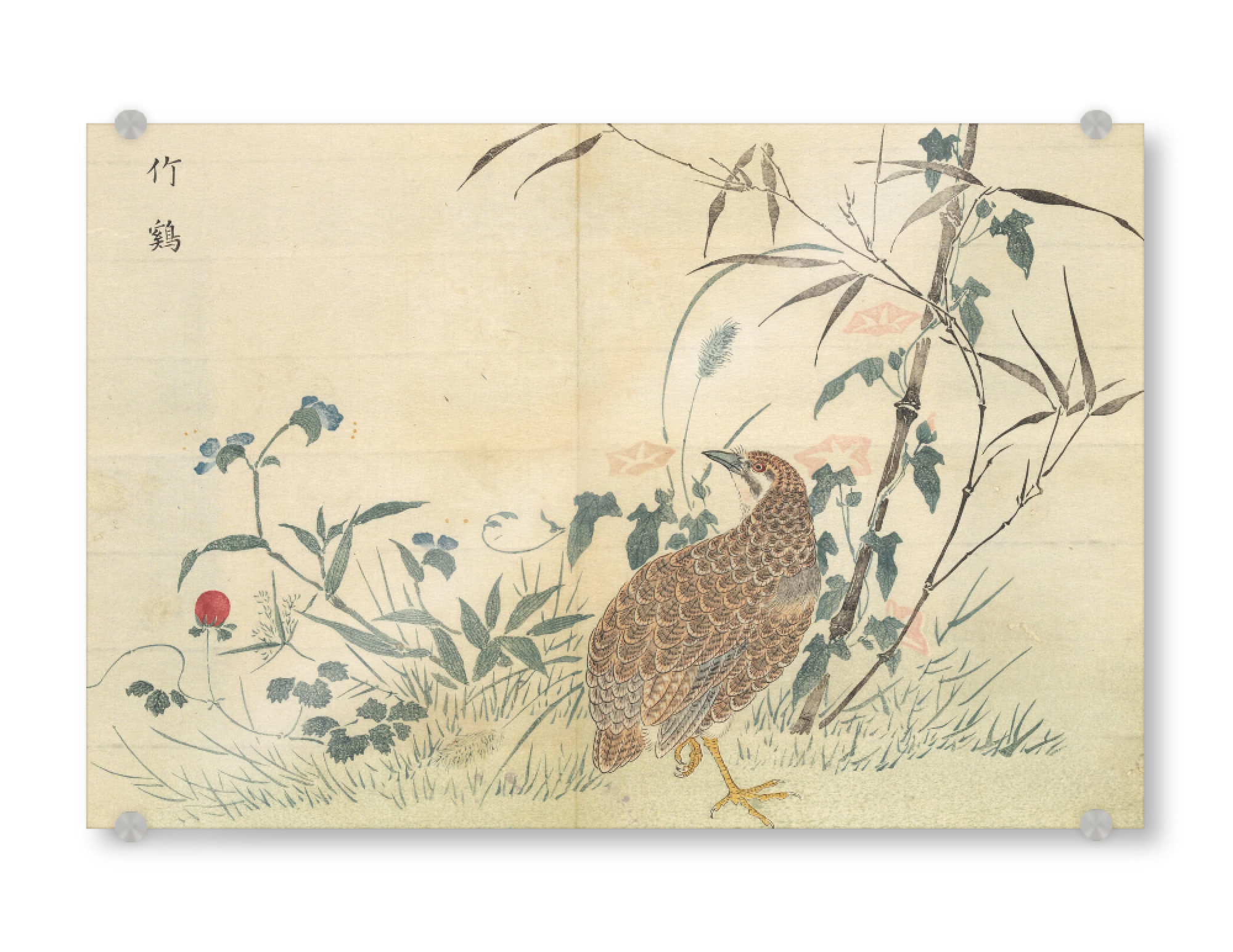 Acrylglasbild "Vogel in der Natur" artboxONE - Natur,Floral - Japan,Vogel,Pflanzen,Natur,Malerei,Gemälde,Kunst,Masayoshi kitao