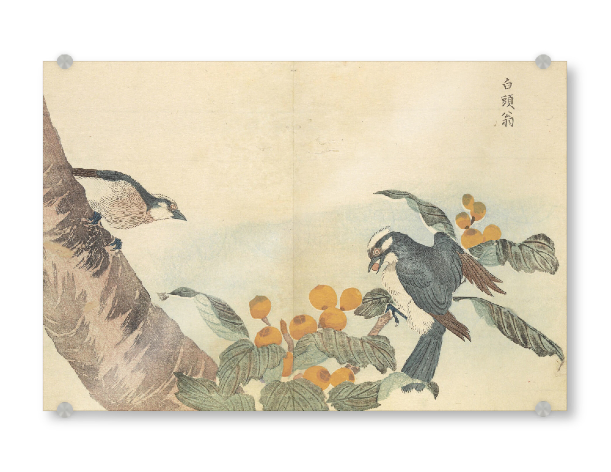 Acrylglasbild "Vögel und Blumen" artboxONE - Natur,Tiere - Masayoshi kitao,Japan,Malerei,Gemälde,Kunst,Vögel,Natur,Ast,Baum