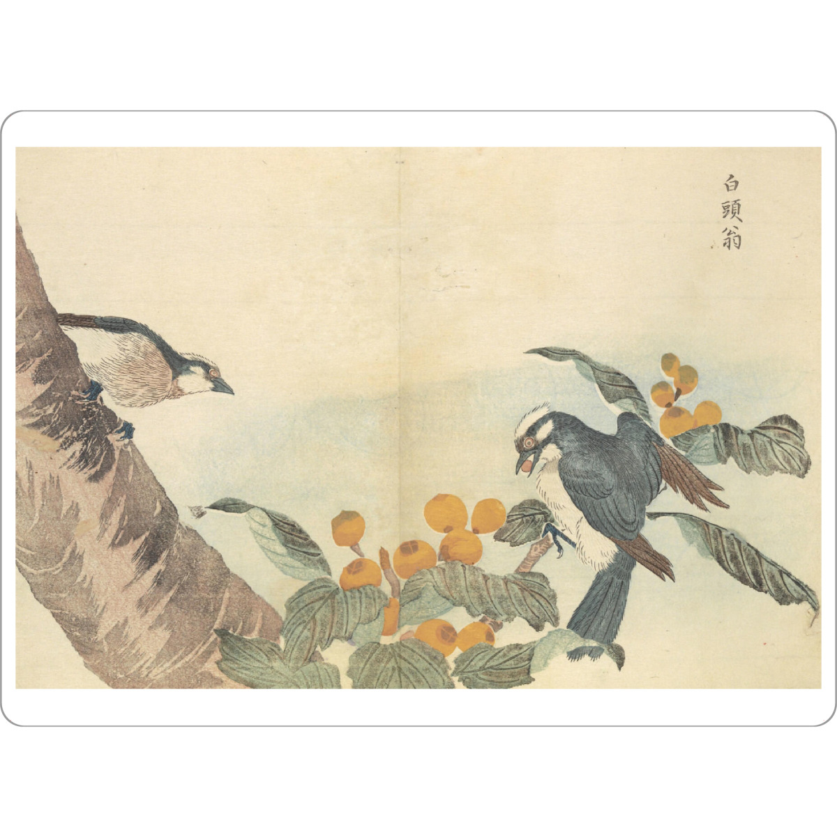 Tischset "Vögel und Blumen" artboxONE - Natur,Tiere - Masayoshi kitao,Japan,Malerei,Gemälde,Kunst,Vögel,Natur,Ast,Baum - Bild masayoshi kitao