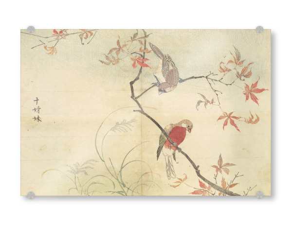 Acrylglasbild "Ein Vogel auf dem Ast" artboxONE - Natur,Floral,Tiere - Masayoshi kitao,Japan,Vogel,Ast,Natur,Malerei,Gemälde,Kunst,Baum,Tiere
