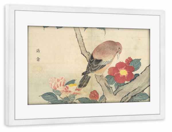 Poster mit Rahmen weiß "Vogel schnuppert an einer Blume" artboxONE - Natur,Floral,Tiere