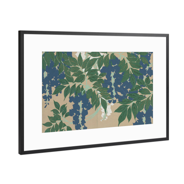 Poster mit Rahmen Schwarz (Metallic) "Glyzinie (Fuji)" artboxONE - Natur,Floral