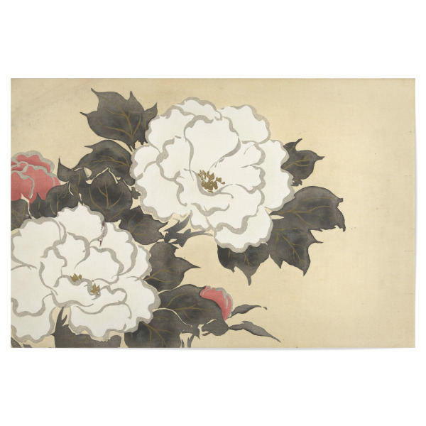 Poster 30x20 cm "Pfingstrosen (Fukamigusa)" artboxONE - Natur,Floral - Kamisaka sekka,Kunst,Malerei,Gemälde,Natur,Floral,Blumen,Bunt,Pflanzen,Japan