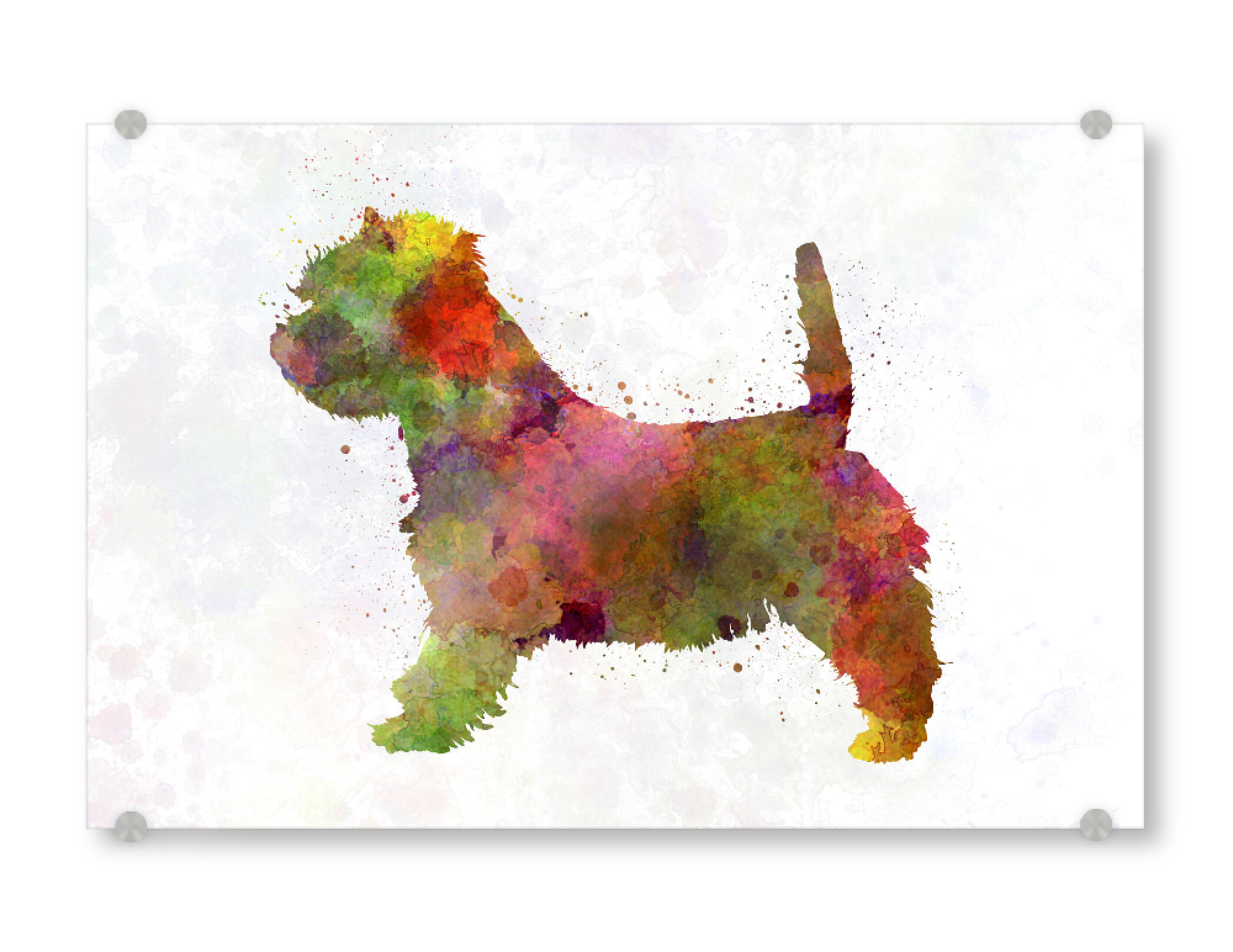 Acrylglasbild "West highland white terrier" artboxONE - Tiere,Abstrakt - Dog,Dogs,Pet,Animal,Mammal,Watercolor,Dog poster,Illustration,Abstract