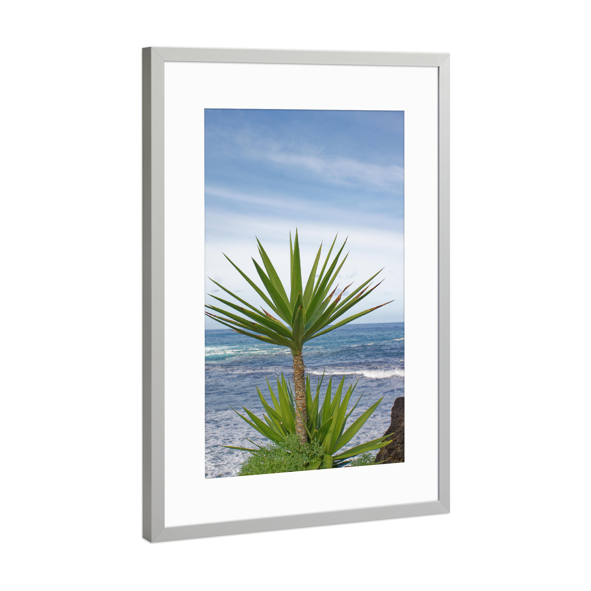 Poster mit Rahmen Silber "Yucca-Palme" artboxONE - Natur,Reise,Reise / Strand und Meer,Reise / Länder