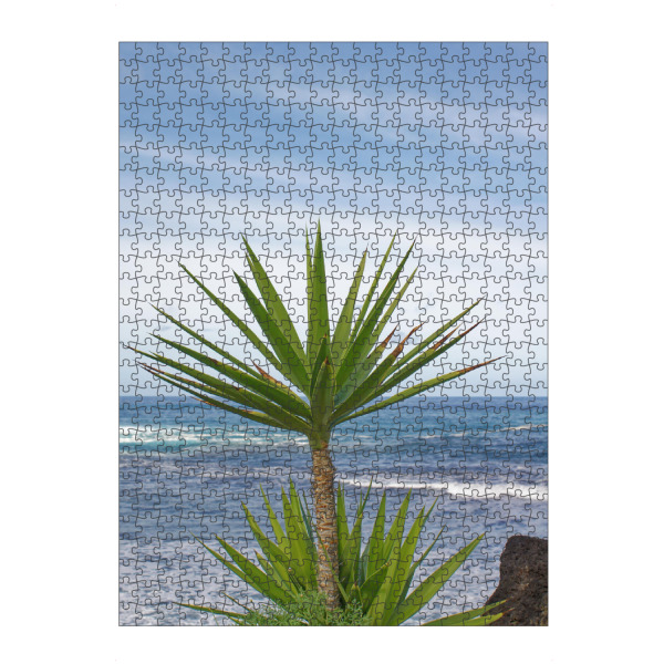 artboxONE Puzzle "Yucca-Palme" artboxONE - Natur,Reise,Reise / Strand und Meer,Reise / Länder