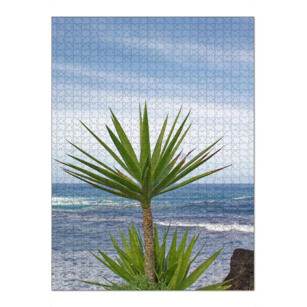 Puzzle Ravensburger "Yucca-Palme" artboxONE - Natur,Reise,Reise / Strand und Meer,Reise / Länder