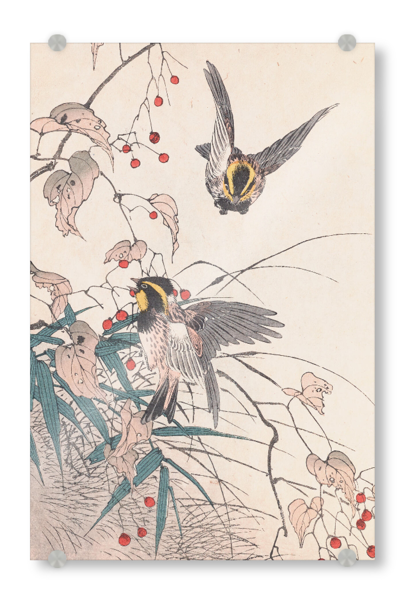 Acrylglasbild "Vögel essen Beeren" artboxONE - Natur,Floral,Tiere - Imao keinen,Vögel,Natur,Beeren,Baum,äste,Japan,Malerei,Gemälde,Kunst,Tiere,Floral